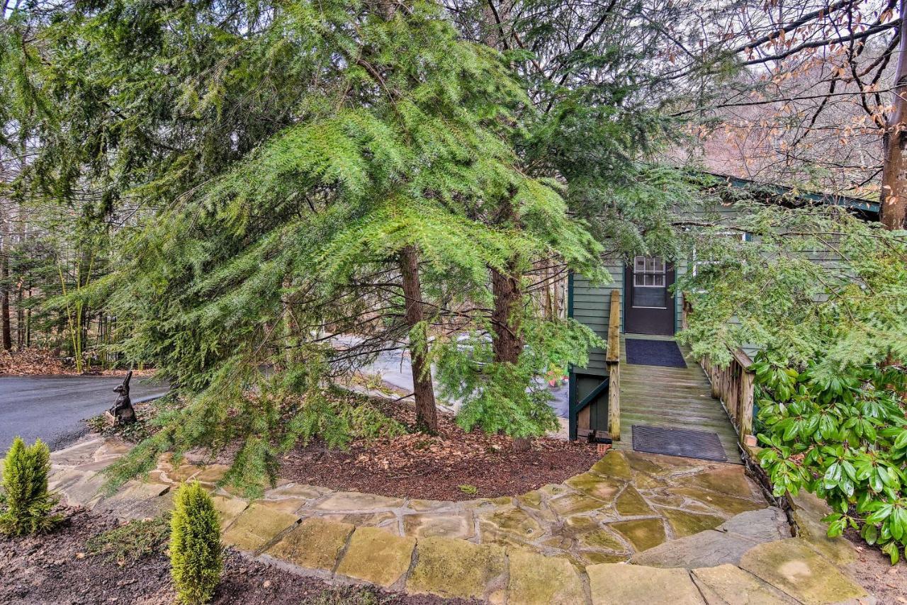 Appalachian Mountain Retreat 6 Mi To Asheville! Ngoại thất bức ảnh